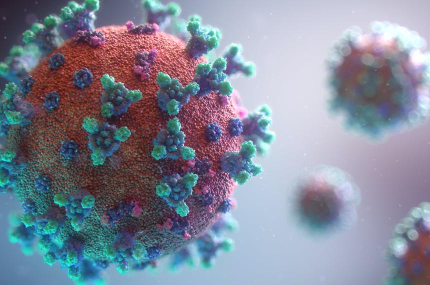 3D-Darstellung des Covid-19-Virus; Copyright Fusion Medical Animation via Unsplash